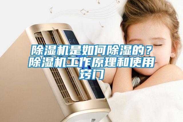 小黄片软件免费下载是如何除濕的？小黄片软件免费下载工作原理和使用竅門