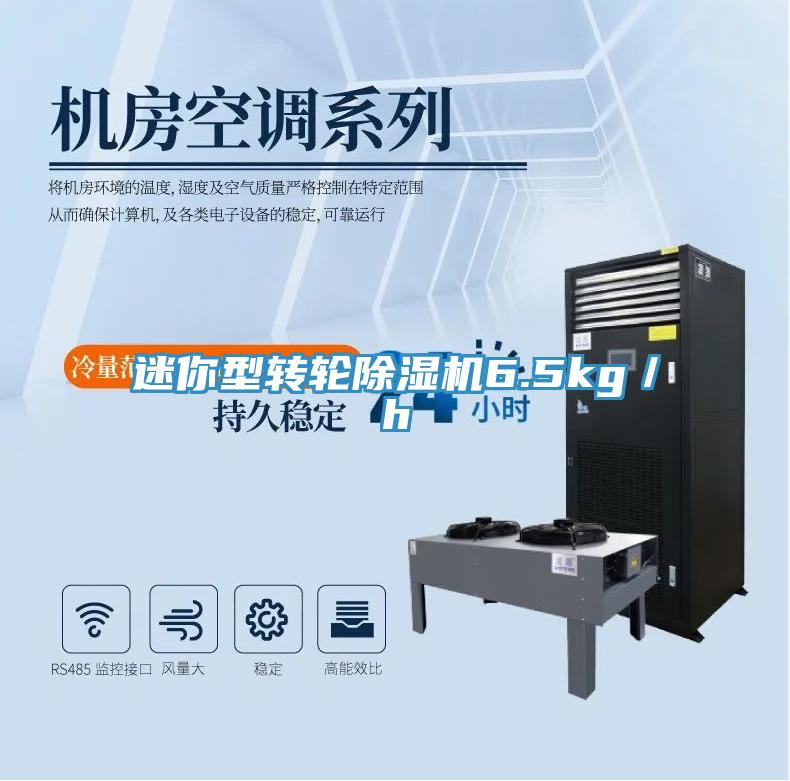 迷你型轉輪小黄片软件免费下载6.5kg／h