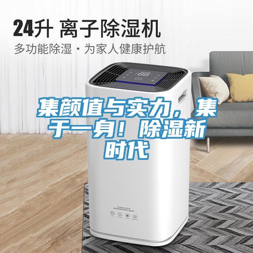 集顏值與實力，集於一身！除濕新時代