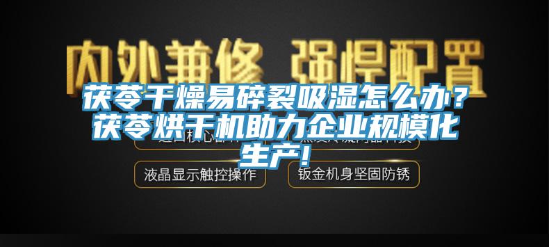 茯苓幹燥易碎裂吸濕怎麽辦？茯苓烘幹機助力企業規模化生產!