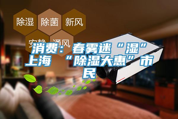 消費：春霧迷“濕”上海 “除濕大惠”市民