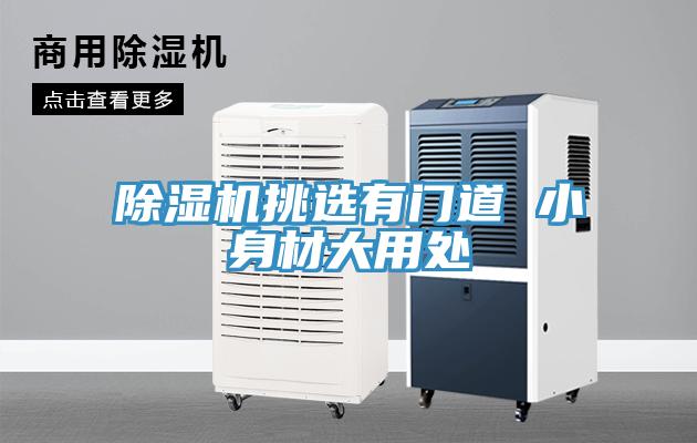 小黄片软件免费下载挑選有門道 小身材大用處