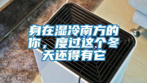 身在濕冷南方的你，度過這個冬天還得有它