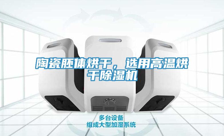 陶瓷胚體烘幹，選用高溫烘幹小黄片软件免费下载