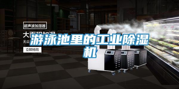 遊泳池裏的工業小黄片软件免费下载