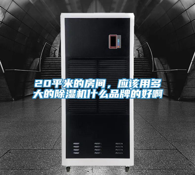 20平米的房間，應該用多大的小黄片软件免费下载什麽品牌的好啊