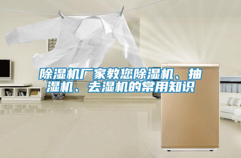 小黄片软件免费下载廠家教您小黄片软件免费下载、抽濕機、去濕機的常用知識