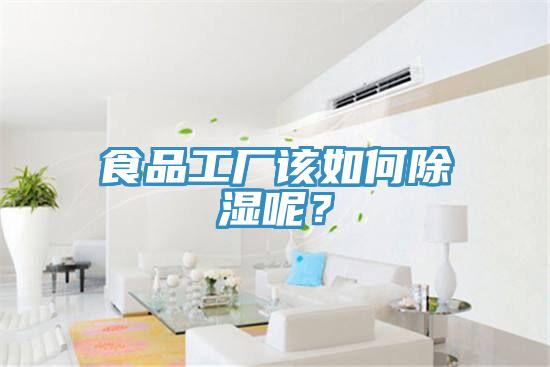 食品工廠該如何除濕呢？