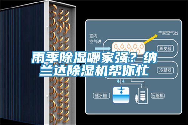雨季除濕哪家強？納蘭達小黄片软件免费下载幫你忙