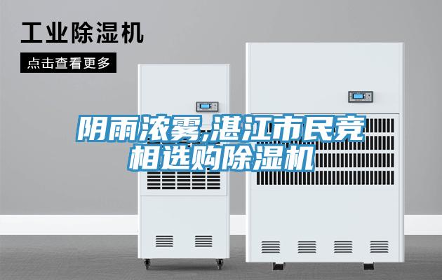 陰雨濃霧,湛江市民競相選購小黄片软件免费下载