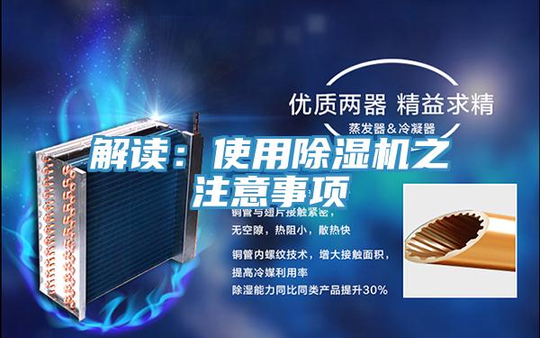 解讀：使用小黄片软件免费下载之注意事項