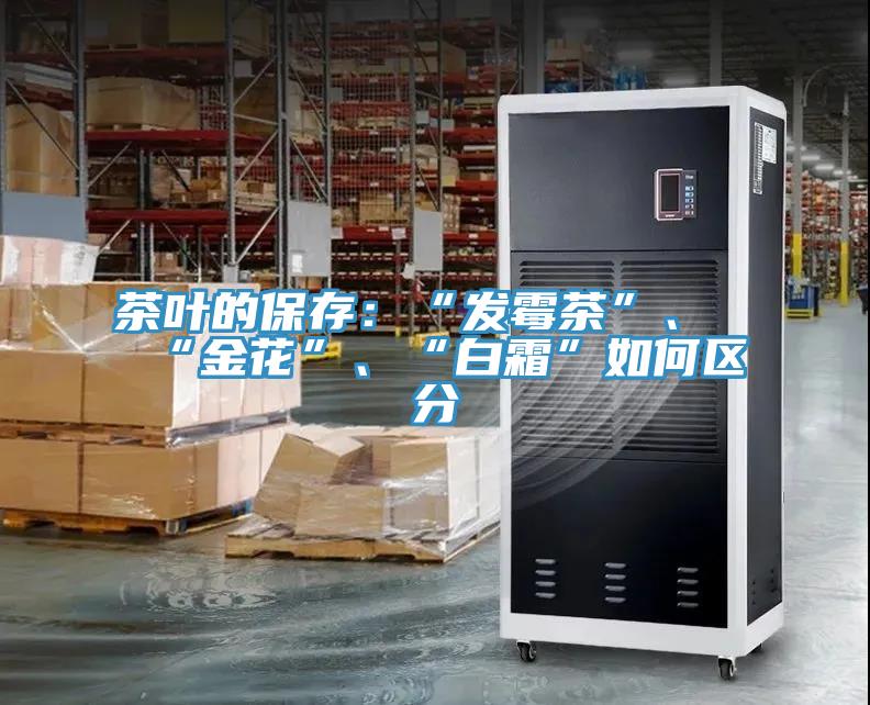 茶葉的保存：“發黴茶”、“金花”、“白霜”如何區分