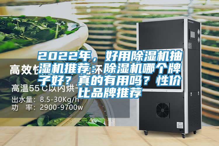 2022年，好用小黄片软件免费下载抽濕機推薦：小黄片软件免费下载哪個牌子好？真的有用嗎？性價比品牌推薦