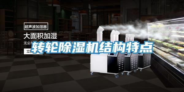 轉輪小黄片软件免费下载結構特點