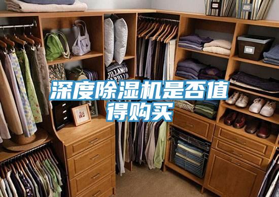 深度小黄片软件免费下载是否值得購買