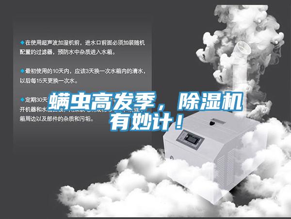 蟎蟲高發季，小黄片软件免费下载有妙計！