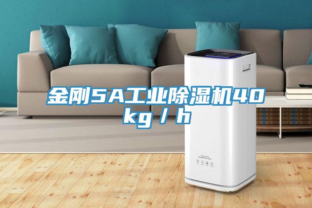 金剛5A工業小黄片软件免费下载40kg／h
