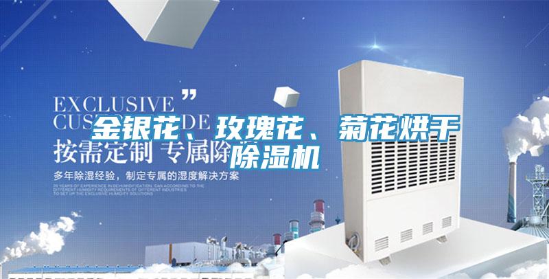 金銀花、玫瑰花、菊花烘幹小黄片软件免费下载