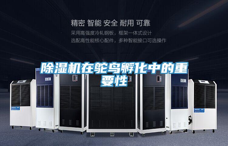 小黄片软件免费下载在鴕鳥孵化中的重要性