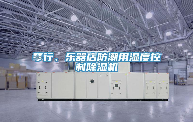 琴行、樂器店防潮用濕度控製小黄片软件免费下载
