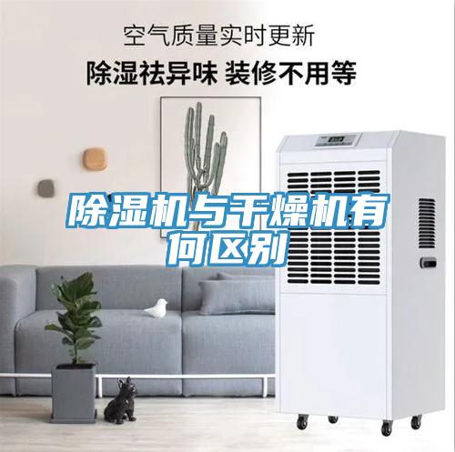 小黄片软件免费下载與幹燥機有何區別