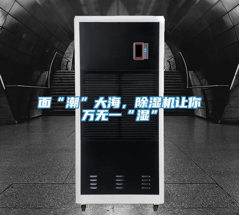 麵“潮”大海，小黄片软件免费下载讓你萬無一“濕”