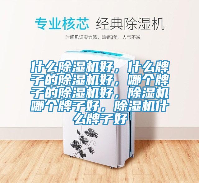 什麽小黄片软件免费下载好，什麽牌子的小黄片软件免费下载好，哪個牌子的小黄片软件免费下载好，小黄片软件免费下载哪個牌子好，小黄片软件免费下载什麽牌子好