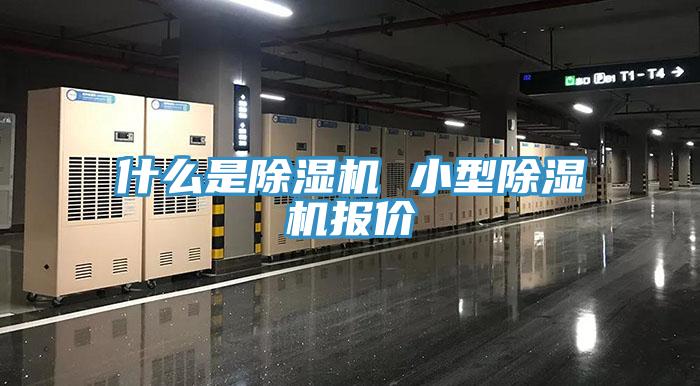 什麽是小黄片软件免费下载 小型小黄片软件免费下载報價