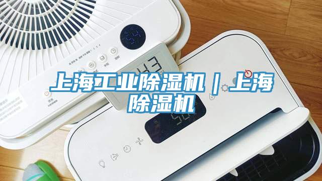 上海工業小黄片软件免费下载｜上海小黄片软件免费下载