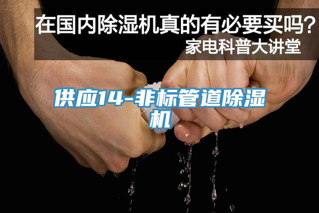 供應14-非標管道小黄片软件免费下载