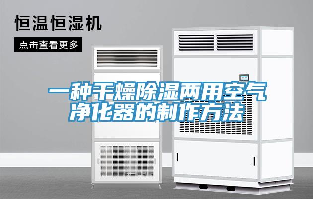一種幹燥除濕兩用空氣淨化器的製作方法