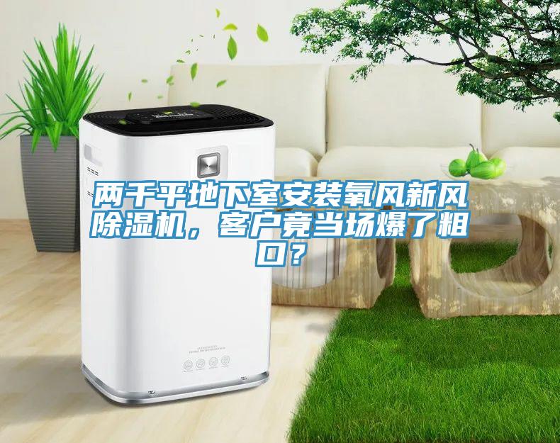 兩千平地下室安裝氧風新風小黄片软件免费下载，客戶竟當場爆了粗口？