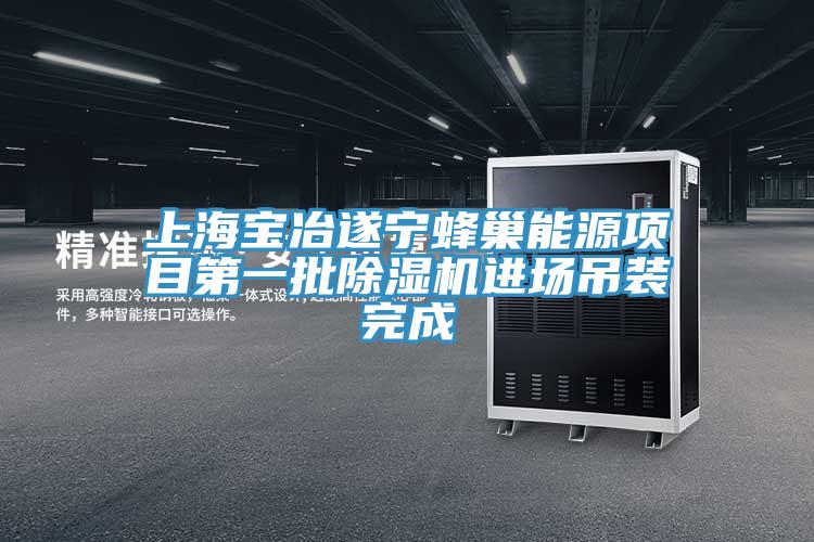 上海寶冶遂寧蜂巢能源項目第一批小黄片软件免费下载進場吊裝完成