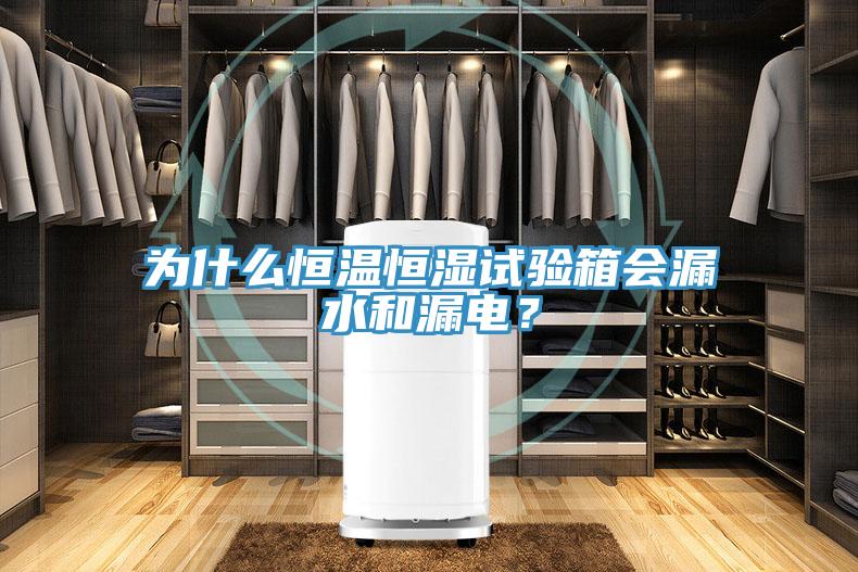 為什麽恒溫恒濕試驗箱會漏水和漏電？