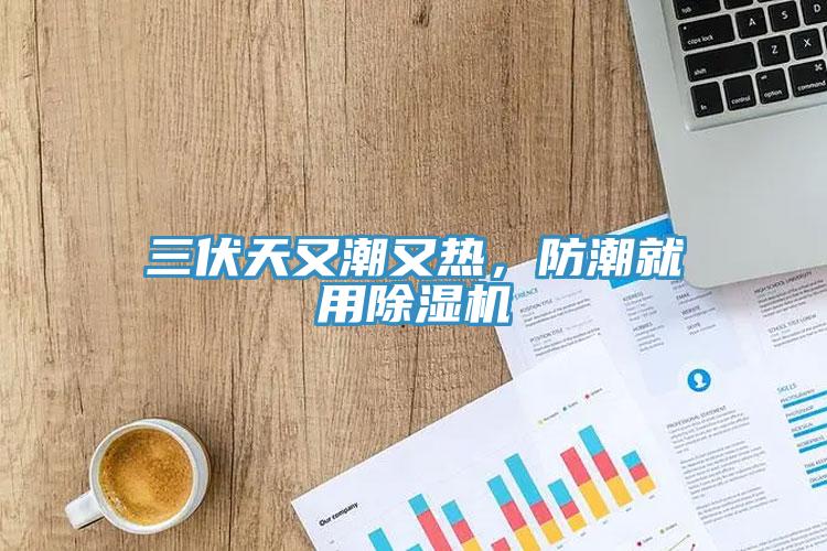 三伏天又潮又熱，防潮就用小黄片软件免费下载