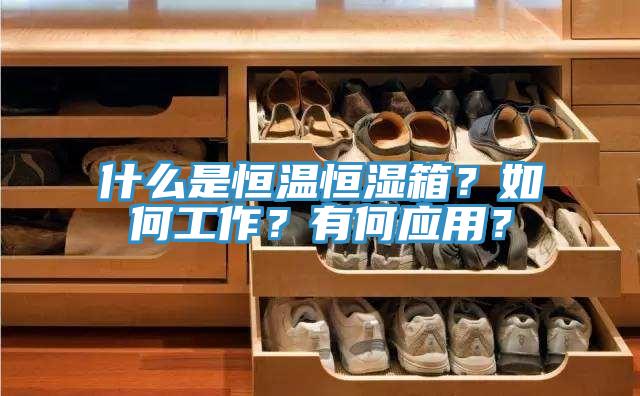 什麽是恒溫恒濕箱？如何工作？有何應用？