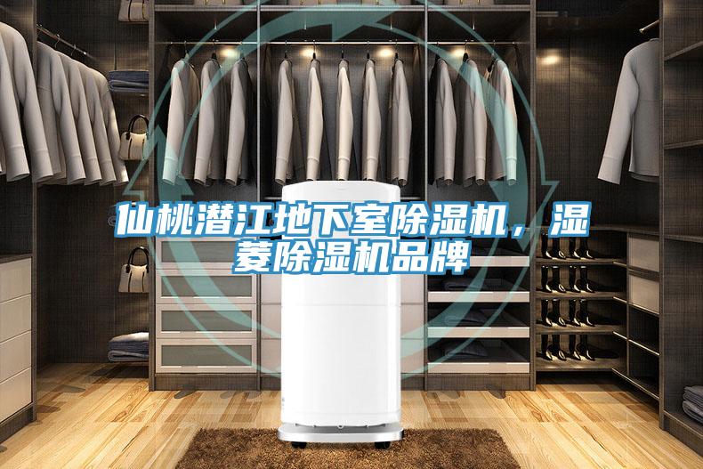 仙桃潛江地下室小黄片软件免费下载，濕菱小黄片软件免费下载品牌