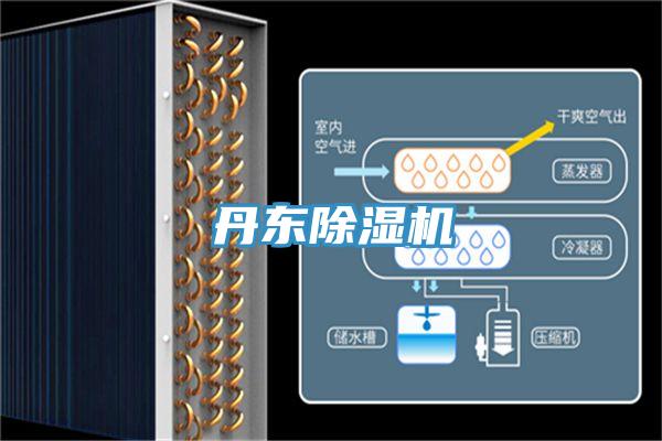 丹東小黄片软件免费下载