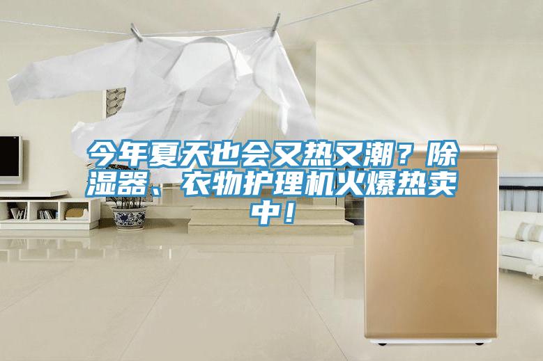 今年夏天也會又熱又潮？除濕器、衣物護理機火爆熱賣中！