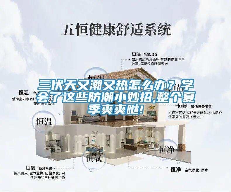 三伏天又潮又熱怎麽辦？學會了這些防潮小妙招,整個夏季爽爽噠!