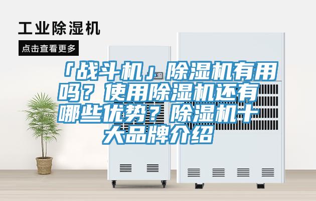 「戰鬥機」小黄片软件免费下载有用嗎？使用小黄片软件免费下载還有哪些優勢？小黄片软件免费下载十大品牌介紹