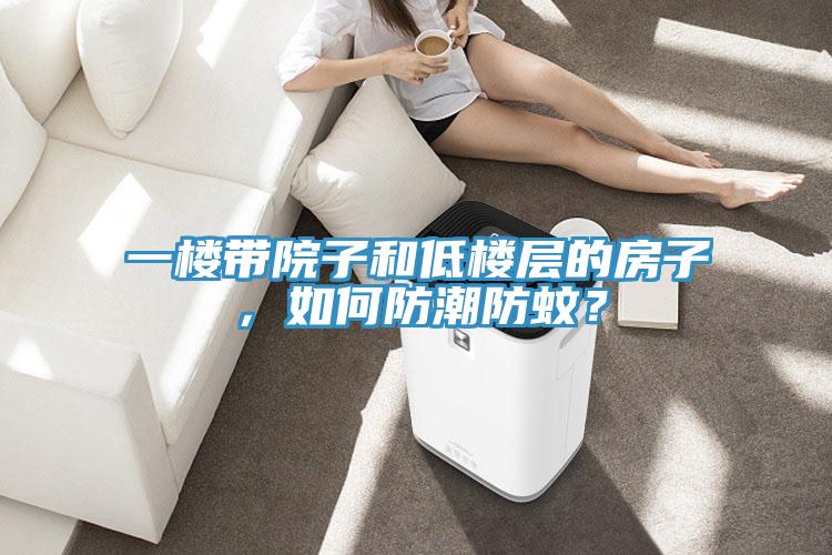 一樓帶院子和低樓層的房子，如何防潮防蚊？