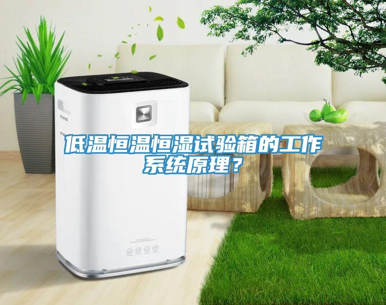 低溫恒溫恒濕試驗箱的工作係統原理？