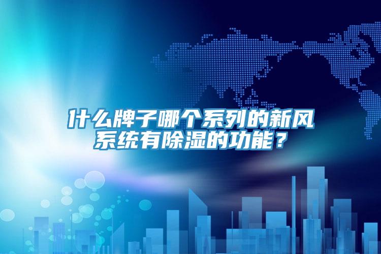 什麽牌子哪個係列的新風係統有除濕的功能？