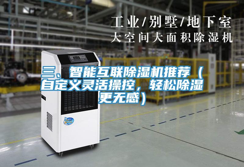 三、智能互聯小黄片软件免费下载推薦（自定義靈活操控，輕鬆除濕更無感）