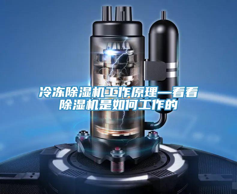 冷凍小黄片软件免费下载工作原理—看看小黄片软件免费下载是如何工作的
