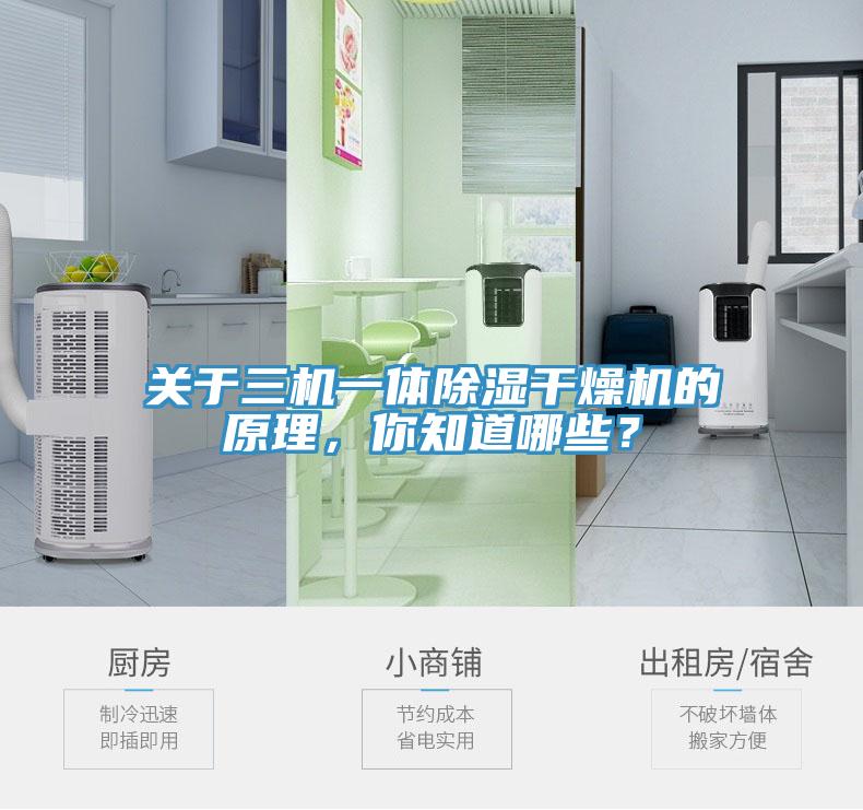 關於三機一體除濕幹燥機的原理，你知道哪些？