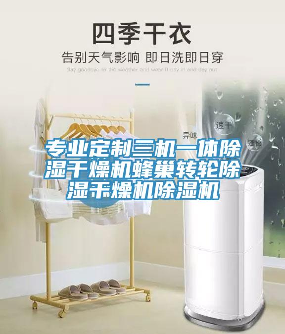 專業定製三機一體除濕幹燥機蜂巢轉輪除濕幹燥機小黄片软件免费下载