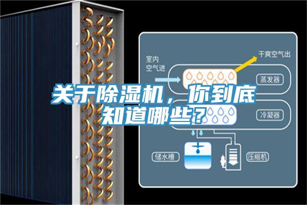 關於小黄片软件免费下载，你到底知道哪些？