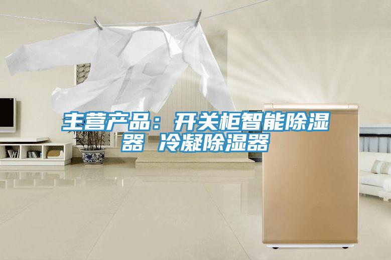 主營產品：開關櫃智能除濕器 冷凝除濕器